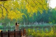成人性生活i视频-成人性生活i视频，理解与界限